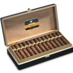 Cohiba Maduro 5 Magicos Cigar - Image 3