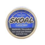 Buy Skoal Mint Pouches