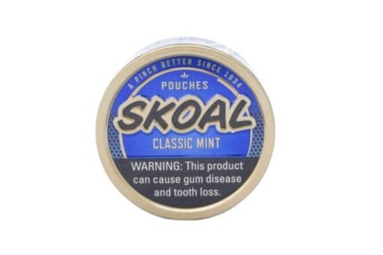 Buy Skoal Mint Pouches